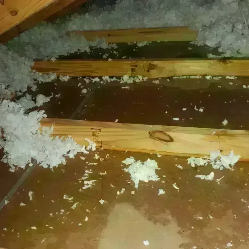 Attic Water Damage in Battle Ground, WA