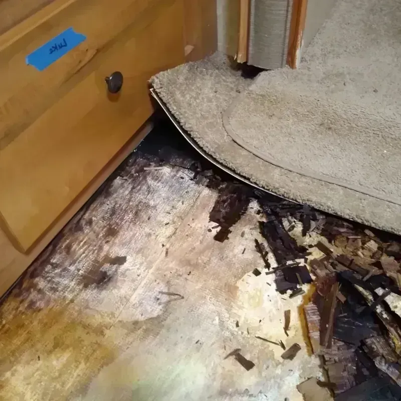 Wood Floor Water Damage in Battle Ground, WA